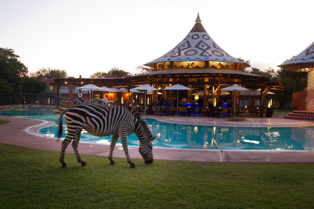 AVANI Victoria Falls Resort 리빙스턴 Zambia thumbnail